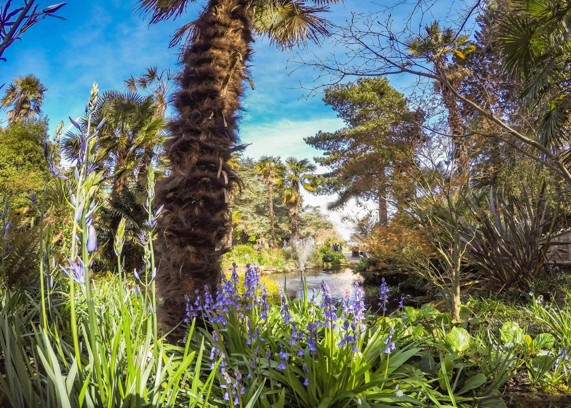 Bournecoast - Clifftop Apartment With Garden -Fm827 Bournemouth Bagian luar foto